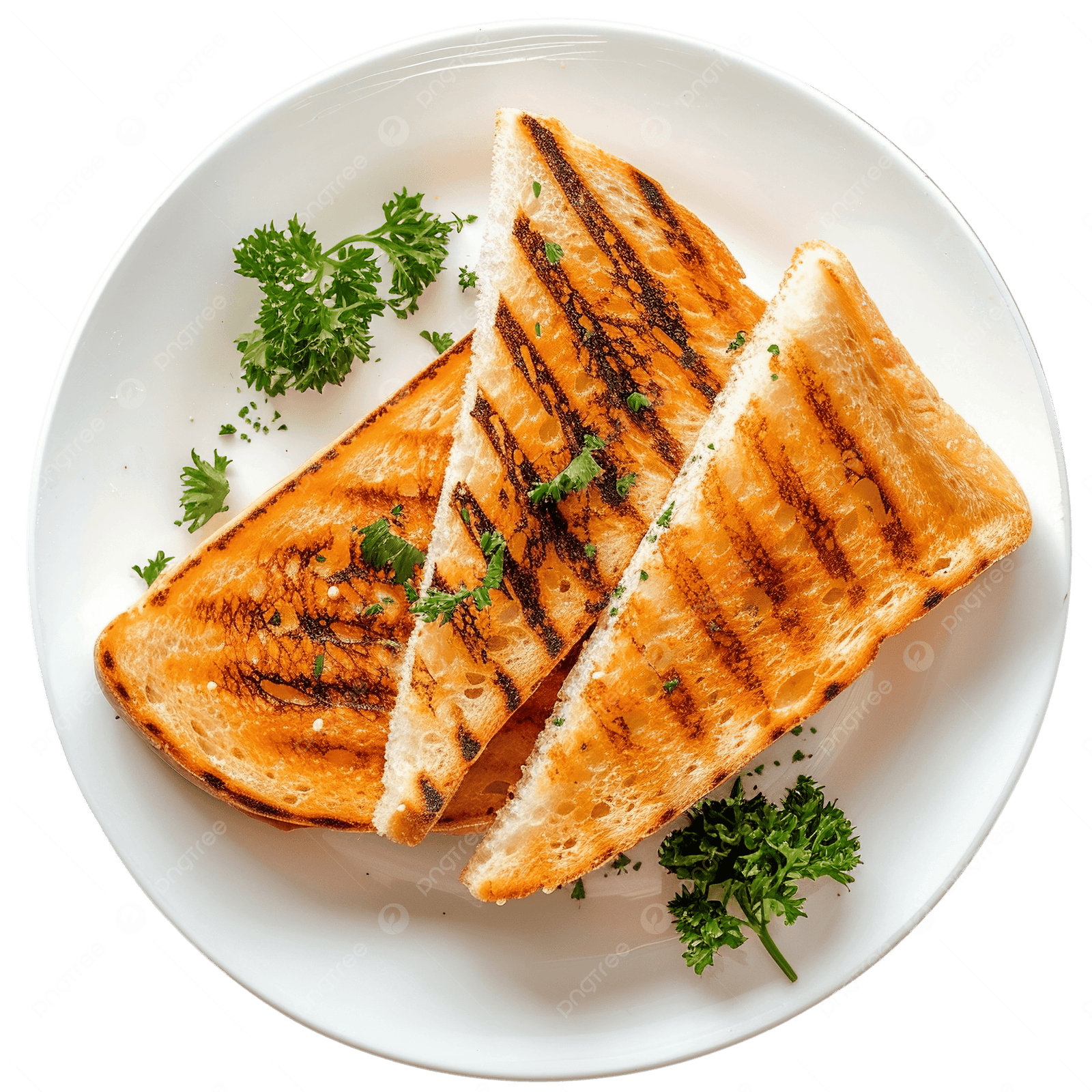Masala Toast